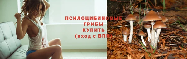 спиды Бугульма