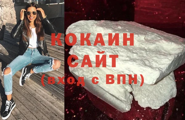 прущие грибы Бронницы
